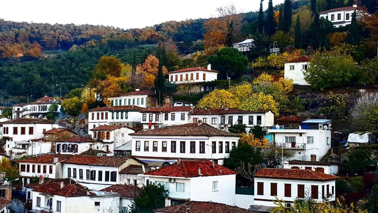aydın selçuk elektrikçi